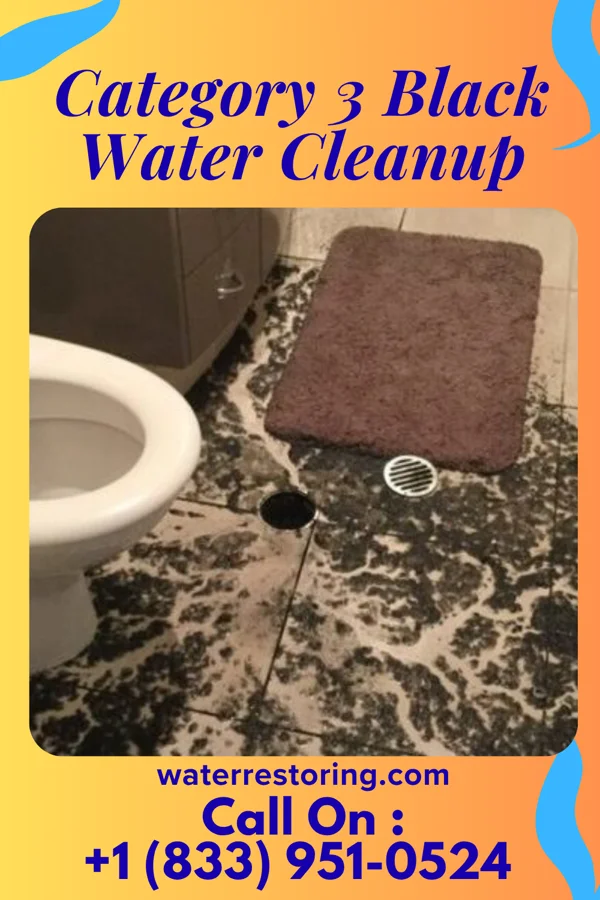 Category 3 Black Water Cleanup in Mercer, MO
