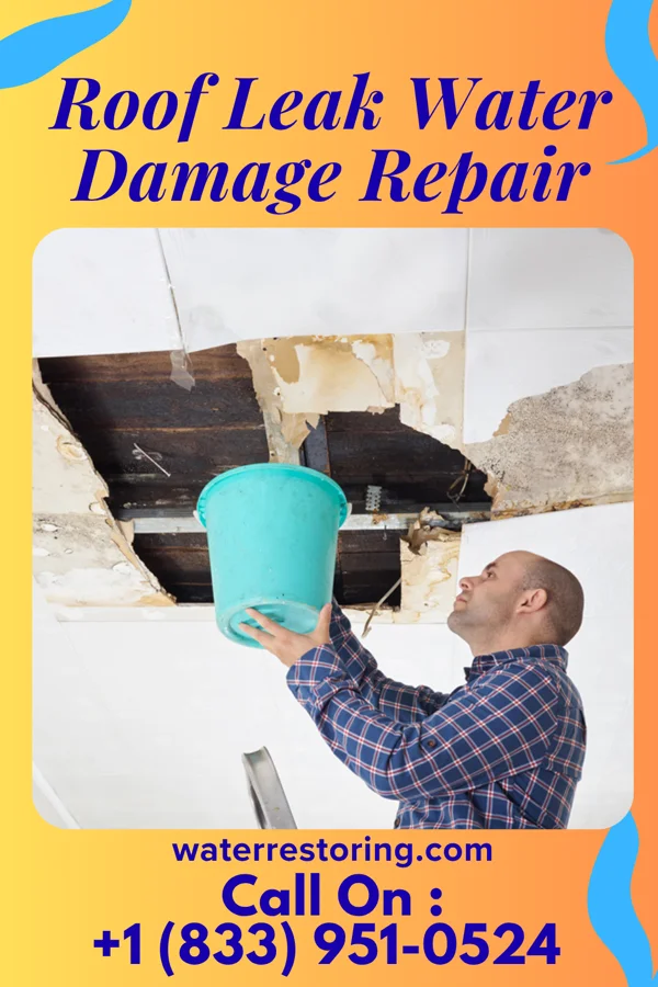 Roof Leak Water Damage Repair in Mercer, MO