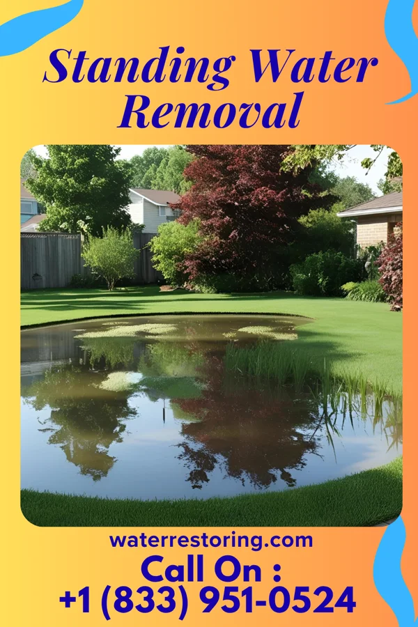 Standing Water Removal in Mercer, MO